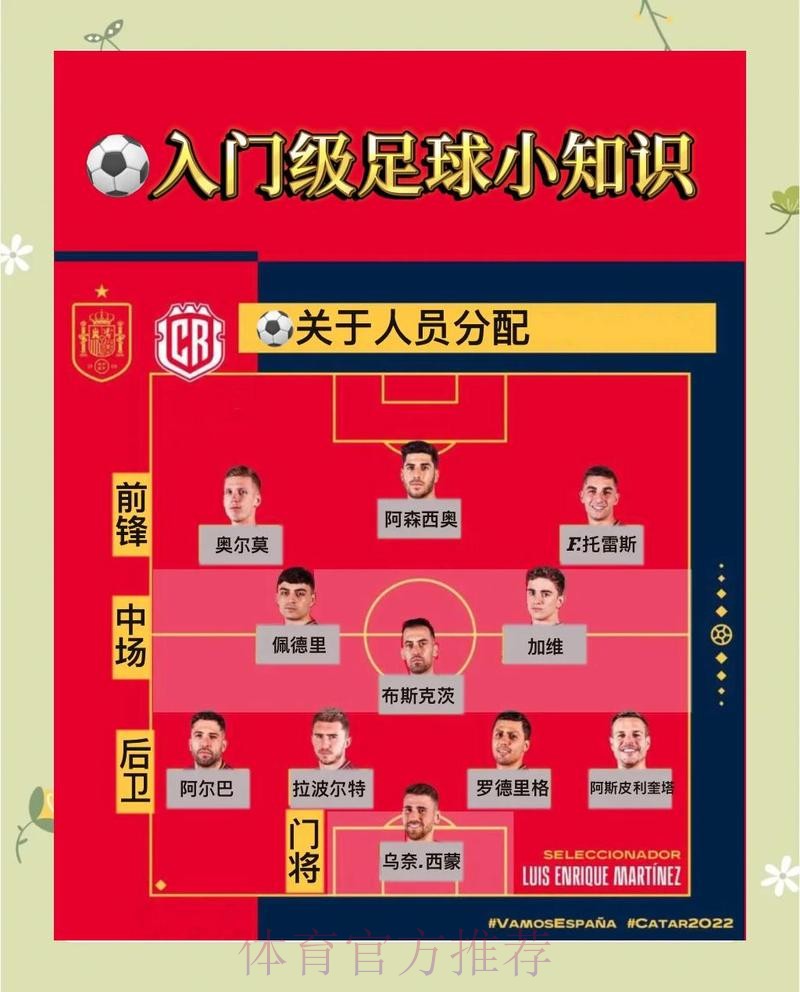 世界杯投注入口全景指南与策略